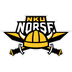 Northern Kentucky Norse