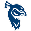 Saint Peter's Peacocks